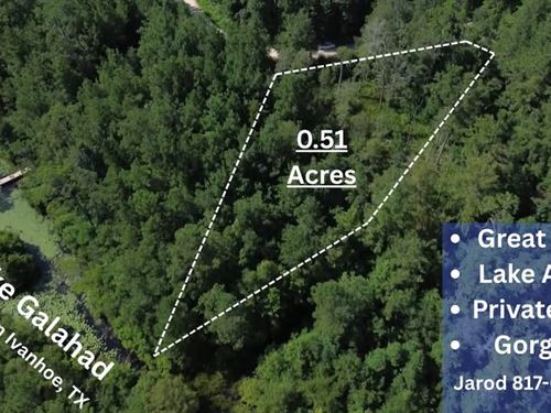 Quiet East Texas Land to Call Home : Ivanhoe : Tyler County : Texas