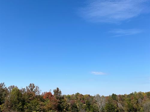 3+/- Acres Unrestricted : Albany : Clinton County : Kentucky