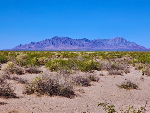 3 Acres Deming NM Desert : Deming : Luna County : New Mexico