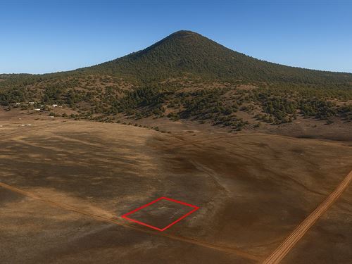 1 Acre Concho Area, $150/Mo : Concho : Apache County : Arizona