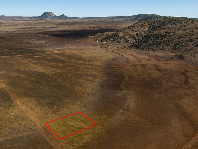 1 Acre Concho Area, $150/Mo : Concho : Apache County : Arizona