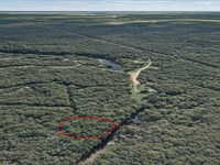 .59 Acre Wooded Getaway Near Lake : Cleveland : Liberty County : Texas