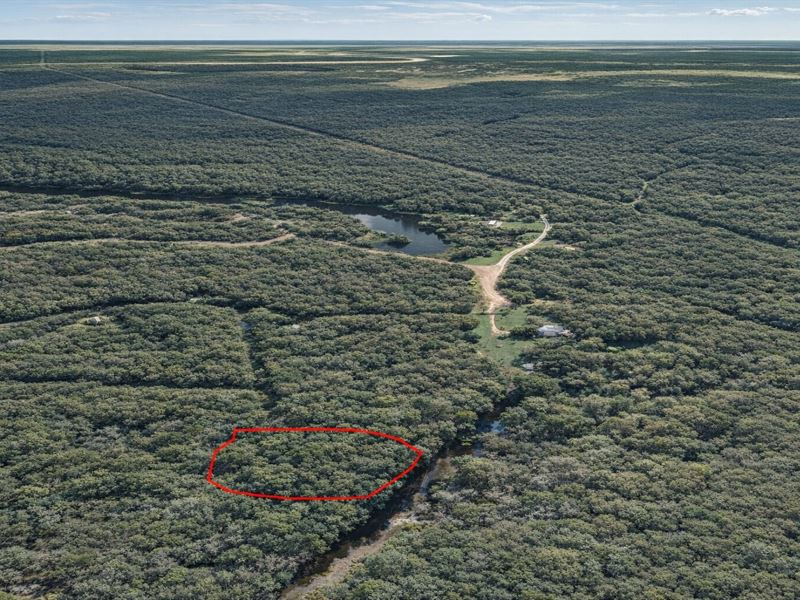 .59 Acre Wooded Getaway Near Lake : Cleveland : Liberty County : Texas