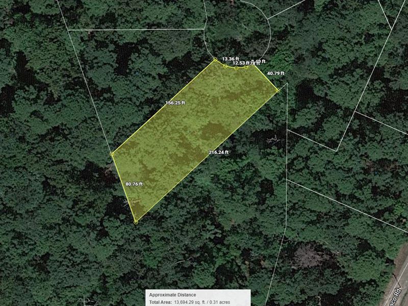 .34 Acre Near Lake O' The Pines : Jefferson : Marion County : Texas