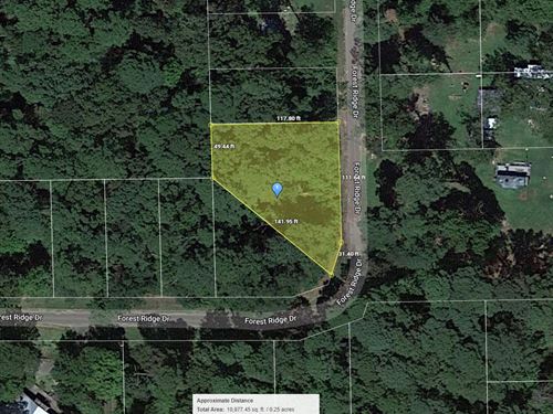 .25 Acre Near Lake O' The Pines : Jefferson : Marion County : Texas