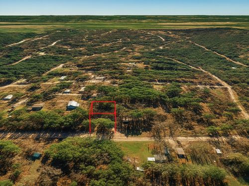 .15 Acre Near Trinity River, $150 : Trinity : Texas