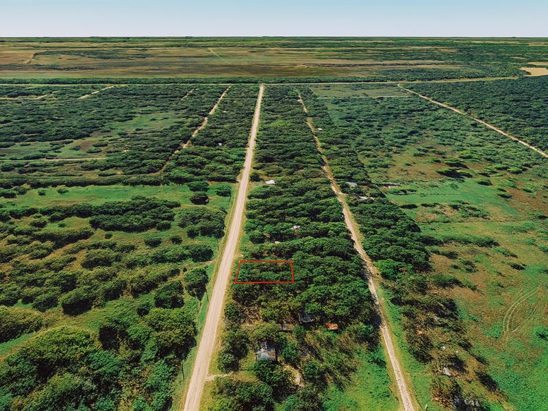 .33 Acre Wooded Corner Lot : Trinity : Walker County : Texas