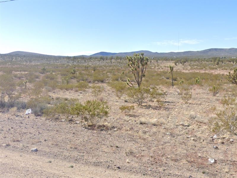 Stop Renting. Start Owning Land : Dolan Springs : Mohave County : Arizona