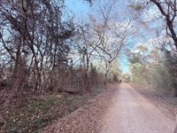 18 Acres, East Stateline Road, Ang : Angie : Washington Parish : Louisiana