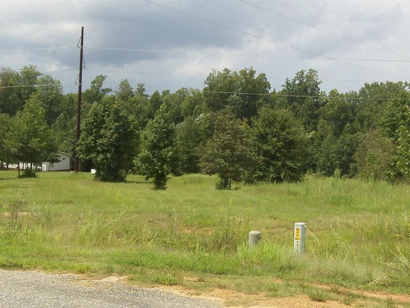 Turkey Creek Farms, 3.05 Acres : Hogansville : Meriwether County : Georgia