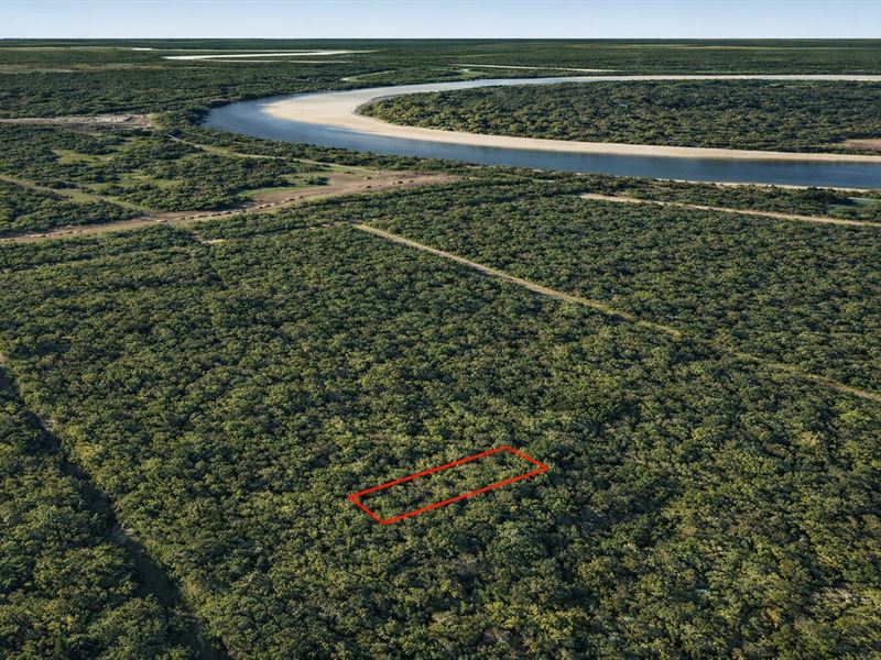 .17 Acre Wooded Retreat : Cleveland : Liberty County : Texas