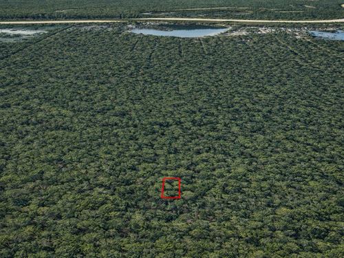 .11 Acre Wooded Near Old River Lake : Cleveland : Liberty County : Texas