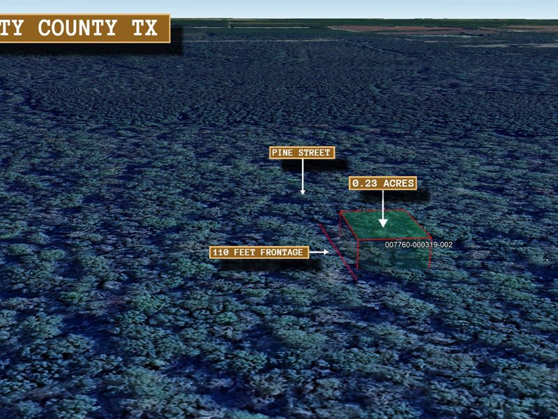.23 Acre Near Old River Lake, $15 : Cleveland : Liberty County : Texas