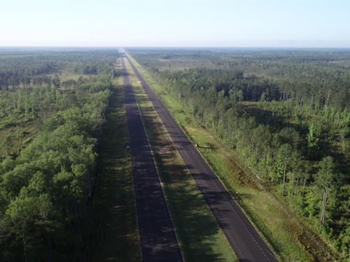 Sealed Bid 5,574 +- Acres Timber : Abita Springs : Saint Tammany Parish : Louisiana