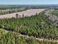 12 Acres on Owens Road in Wayne Cou : Odum : Wayne County : Georgia