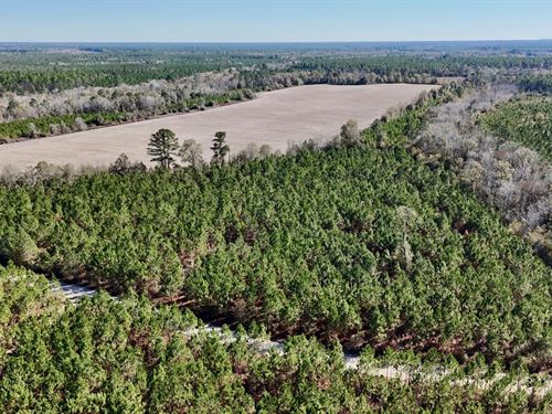 12 Acres on Owens Road in Wayne Cou : Odum : Wayne County : Georgia