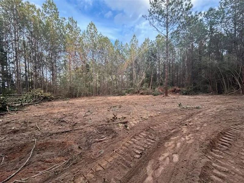 8 Acres, Magnolia, MS : Magnolia : Pike County : Mississippi