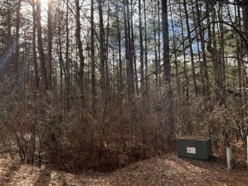 1.73 AC Gated Lot, City Water Sewer : Copperhill : Polk County : Tennessee