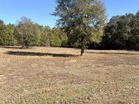 10-059 Monterey Road 2 : Forest Home : Butler County : Alabama