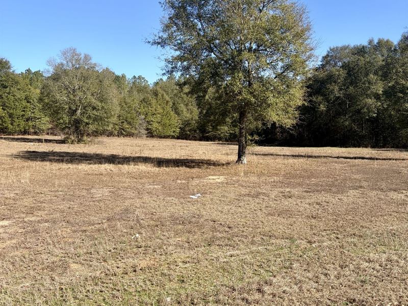 10-059 Monterey Road 2 : Forest Home : Butler County : Alabama