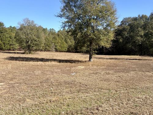 10-059 Monterey Road 2 : Forest Home : Butler County : Alabama