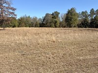 10-061 Monterey Road 5 : Forest Home : Butler County : Alabama