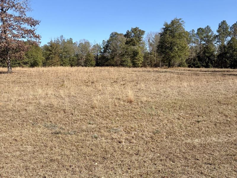 10-061 Monterey Road 5 : Forest Home : Butler County : Alabama