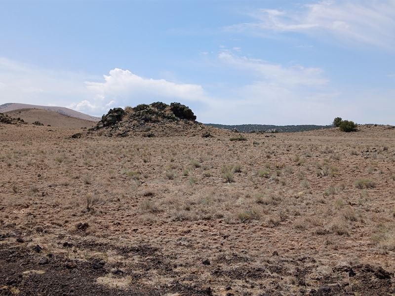 Your Desert Oasis in Concho Arizona : Concho : Apache County : Arizona