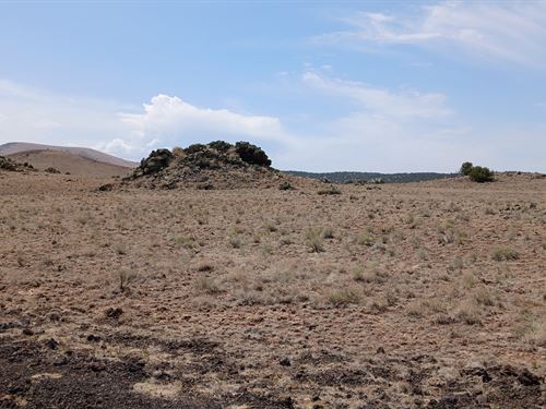 Simplify Life with Wide-Open Spaces : Concho : Apache County : Arizona