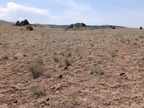 Your Desert Oasis in Concho Arizona : Concho : Apache County : Arizona