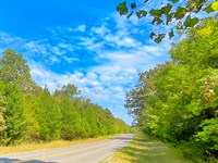 Around The Corner From The Marina : Horseshoe Bend : Izard County : Arkansas