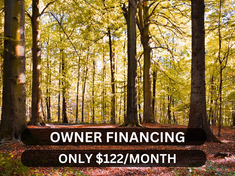 Wooded Lot Near Lakes & Trails : Cherokee Village : Sharp County : Arkansas