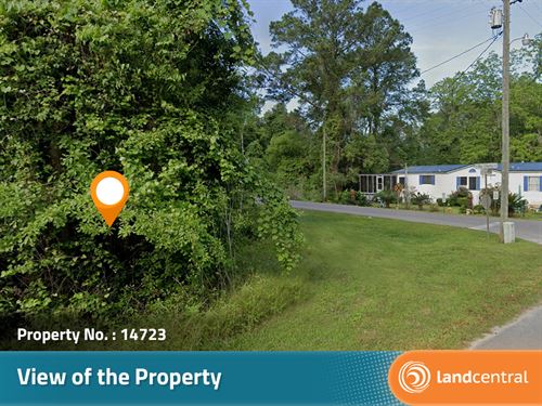 Almost a Tenth Acre in Madison, FL : Greenville : Madison County : Florida