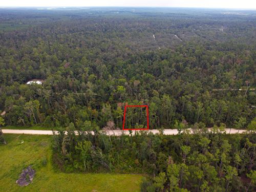 Suwannee River Park Estates Lot : Live Oak : Suwannee County : Florida