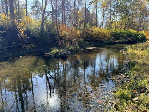 Meadow & Woods Along Keshequa Creek : Nunda : Livingston County : New York