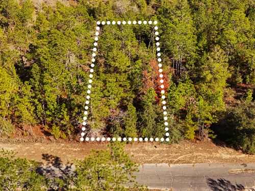 No HOA, Near Lake, Owner Financing : Chipley : Washington County : Florida