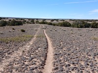 1.29 Acres of Pure Arizona Freedom : Chambers : Apache County : Arizona