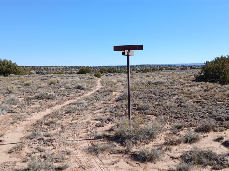 1.29 Acres of Pure Arizona Freedom : Chambers : Apache County : Arizona