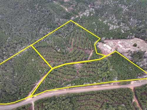 10 Acres, T-1, FM 1012, 0911 : Newton : Texas