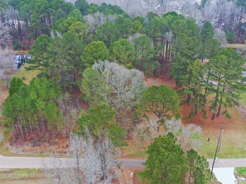 2.8 Acre Homesite in Madison County : Ridgeland : Madison County : Mississippi