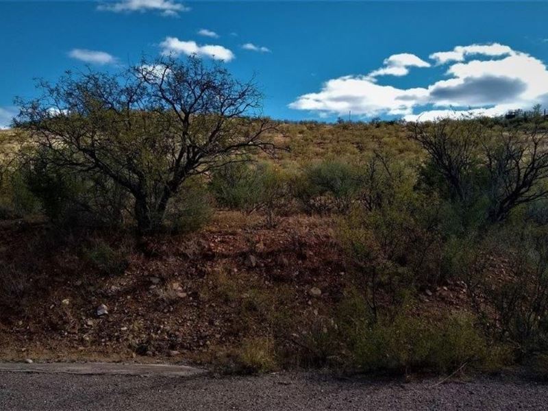 Turn That Adulting Into Resulting : Rio Rico : Santa Cruz County : Arizona