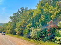 Adjoining Lots by Diamond Lake : Horseshoe Bend : Izard County : Arkansas