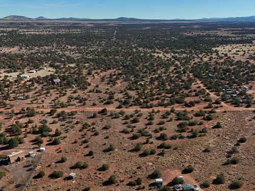 High-Desert Peace with Road Access : Valle : Coconino County : Arizona