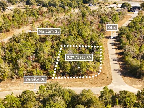 Scenic Homesite, No HOA, $1 Down : Chipley : Washington County : Florida