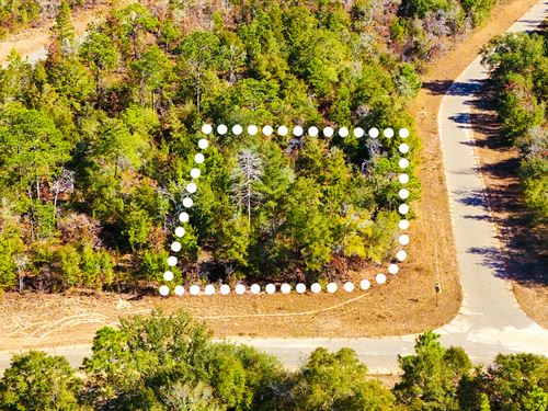 Scenic Homesite, No HOA, $1 Down : Chipley : Washington County : Florida