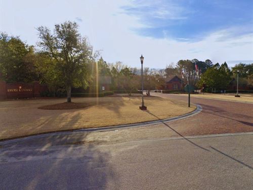 Private Community, Owner Financing : Wallace : Duplin County : North Carolina