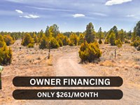 Beautiful 5 Acre Off-Grid Lot : Ramah : Cibola County : New Mexico
