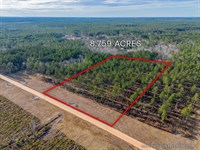 Lot 3, Lanes Creek Farms : Brooklet : Bulloch County : Georgia