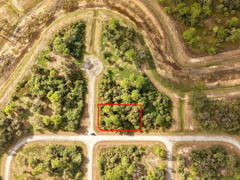 Room to Build in Southwest Florida : Labelle : Hendry County : Florida