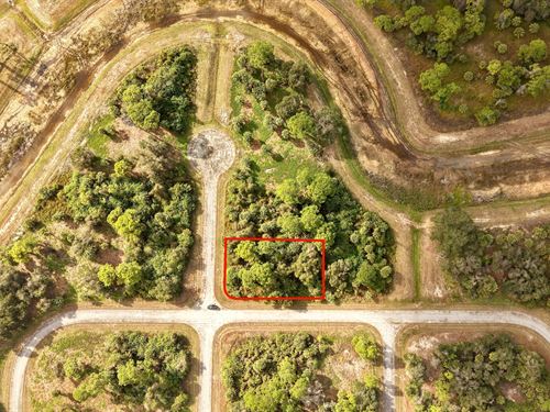 Room to Build in Southwest Florida : Labelle : Hendry County : Florida